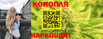 гашик Новозыбков