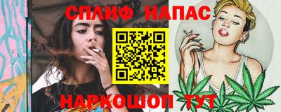 гашик Новозыбков