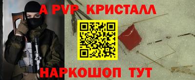 гашик Новозыбков