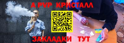 гашик Новозыбков