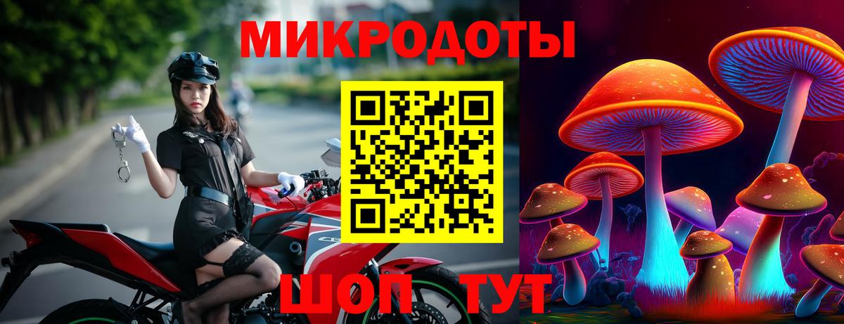 Кондопога  Галлюциногенные грибы Cubensis  Вход с VPN 