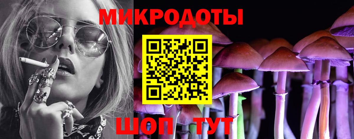 Псилоцибиновые грибы Cubensis Кондопога