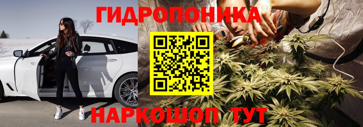Шишки марихуана THC 21% Кондопога